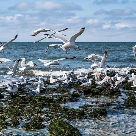 Sueden Lägenhet Westerland Exteriör bild