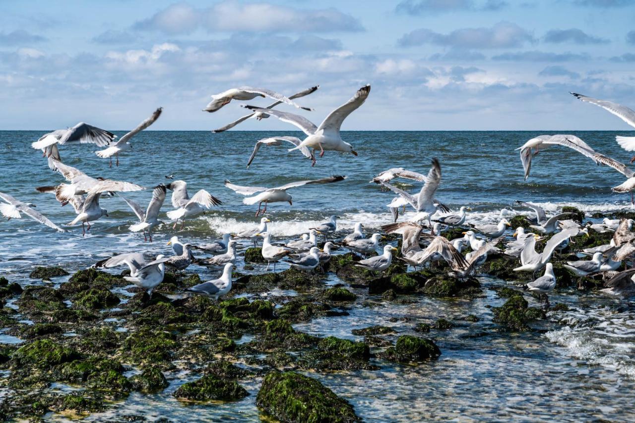 Sueden Lägenhet Westerland Exteriör bild